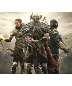 The Elder Scrolls Online Standard Edition Steam Key EUROPE